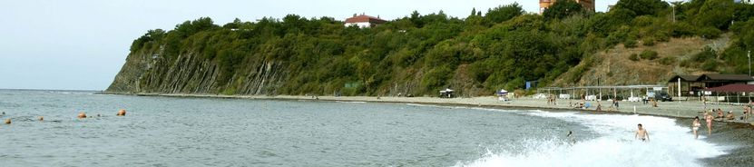 Бетта